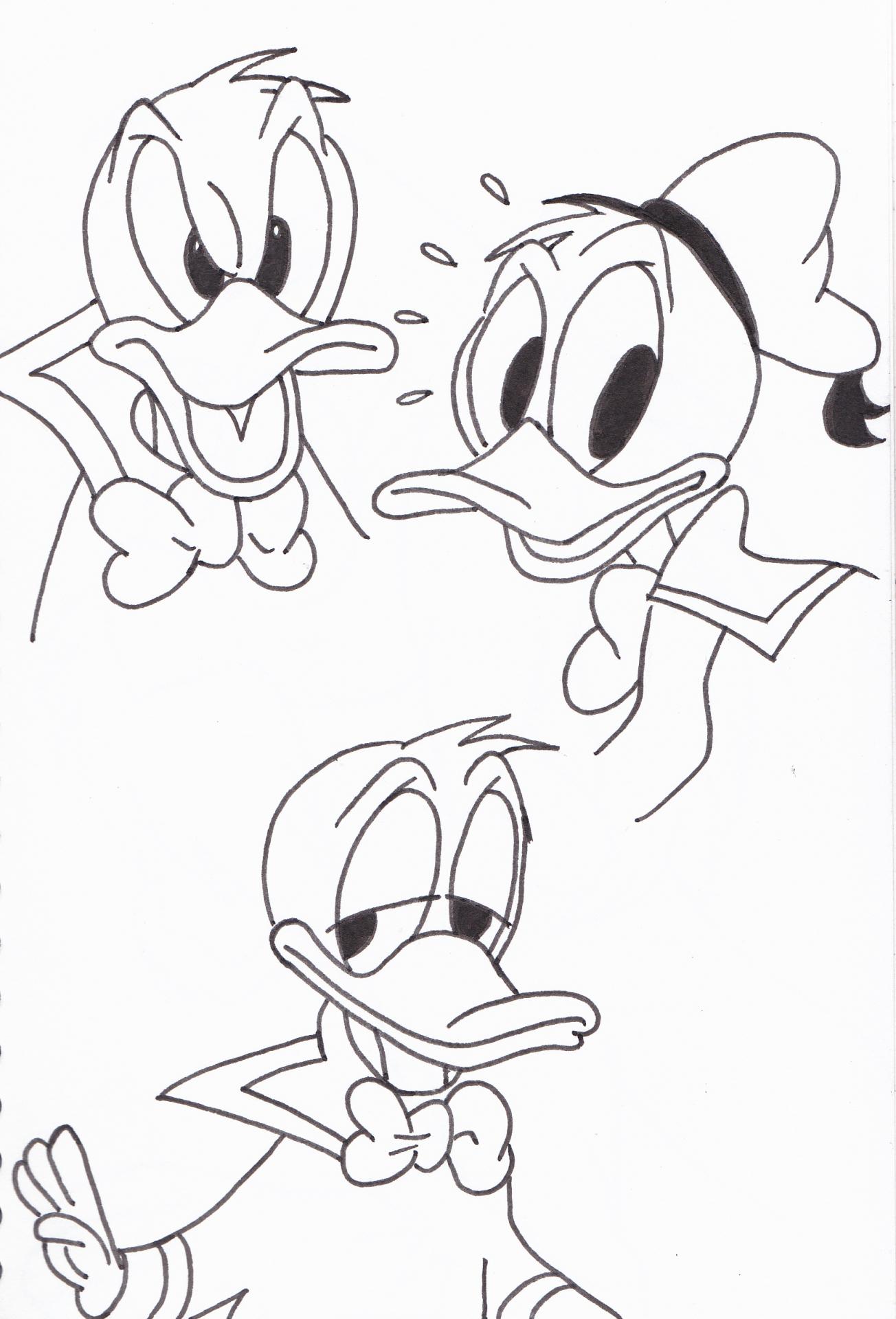 Donald (expressions)