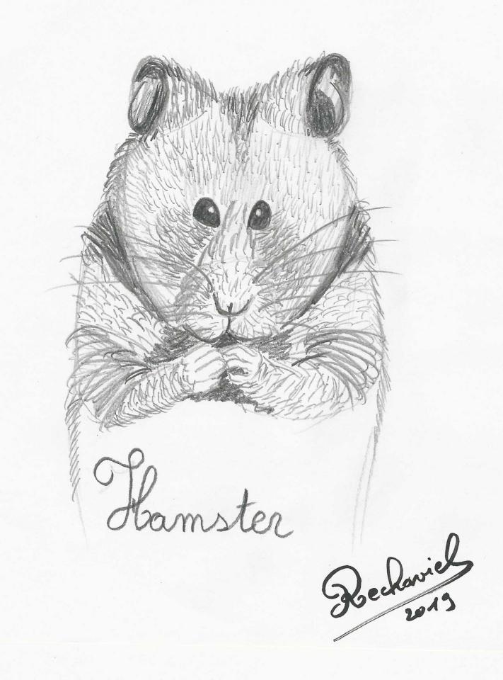 Hamster copier