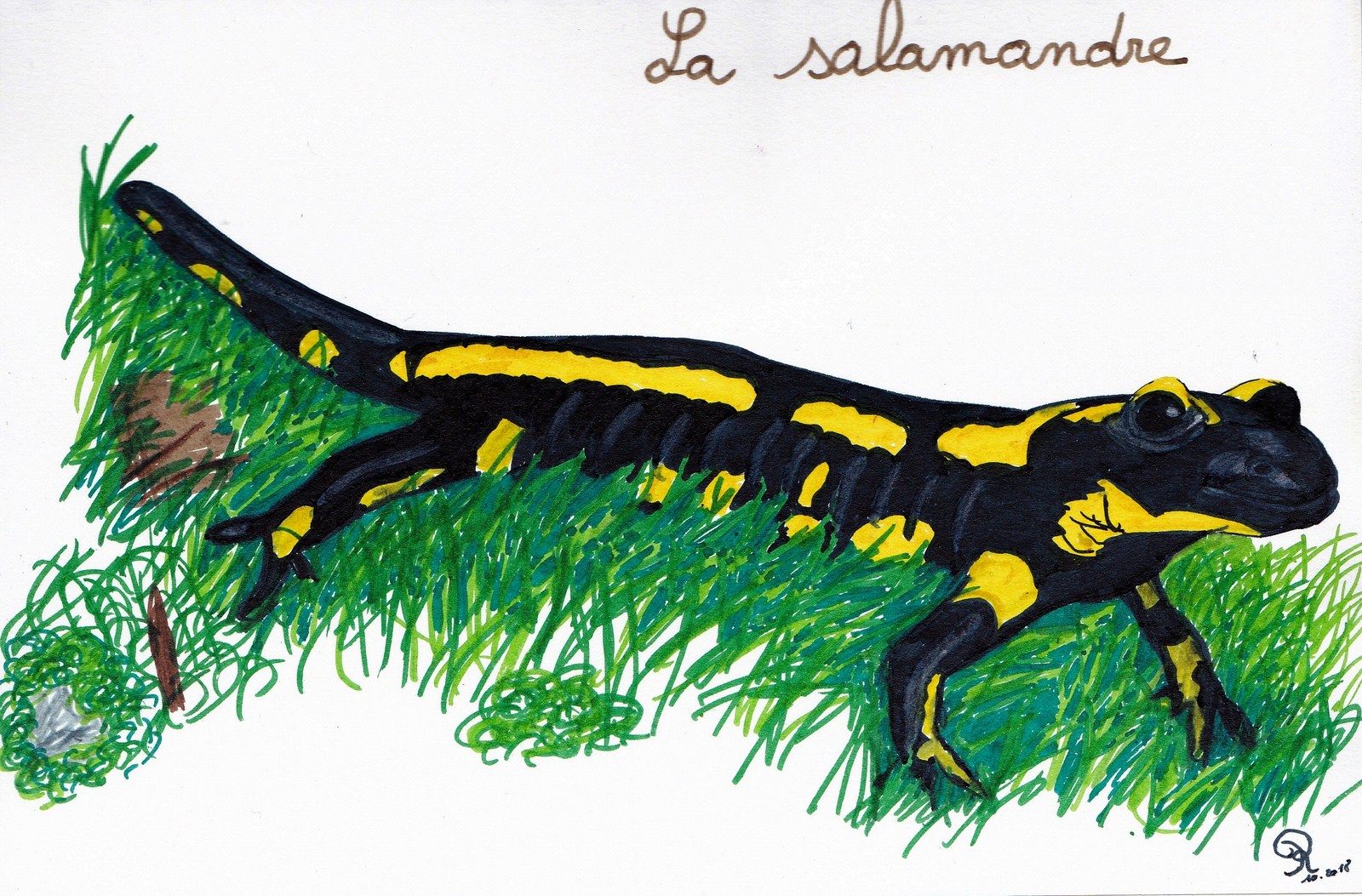 Salamandre feutre contraste haut et teinte graduee au maxi photoscape copier