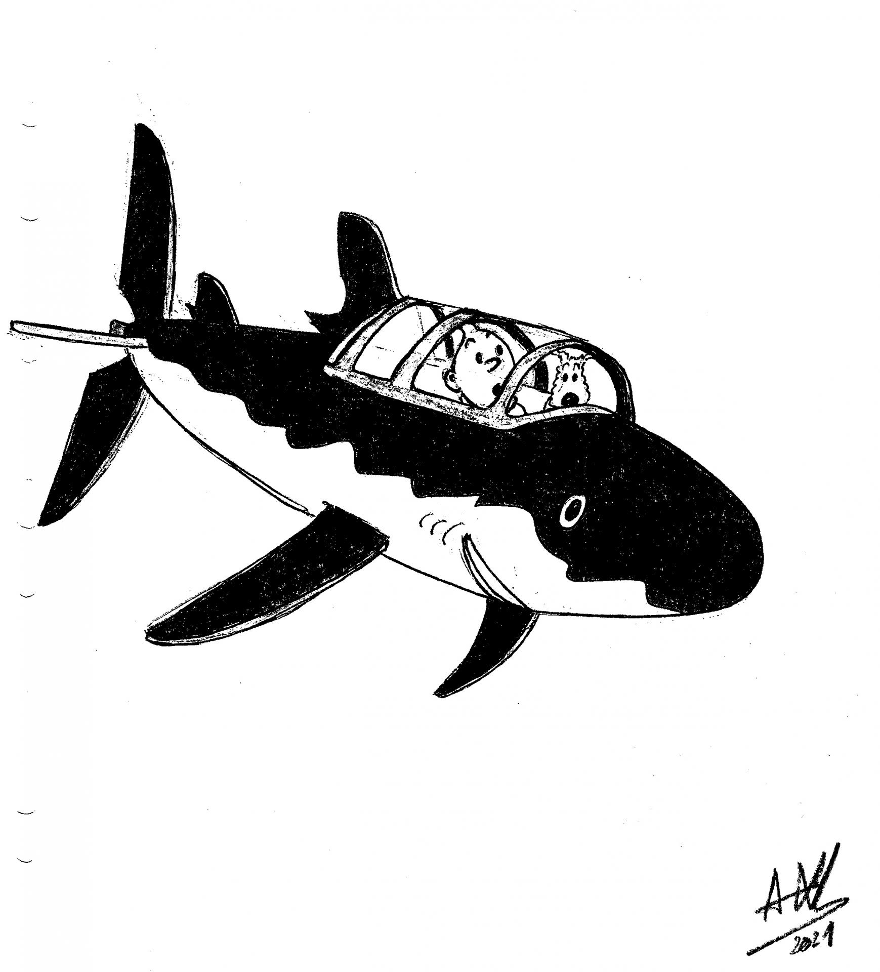 Tintin requin crayonne stylo craycoul n b redim